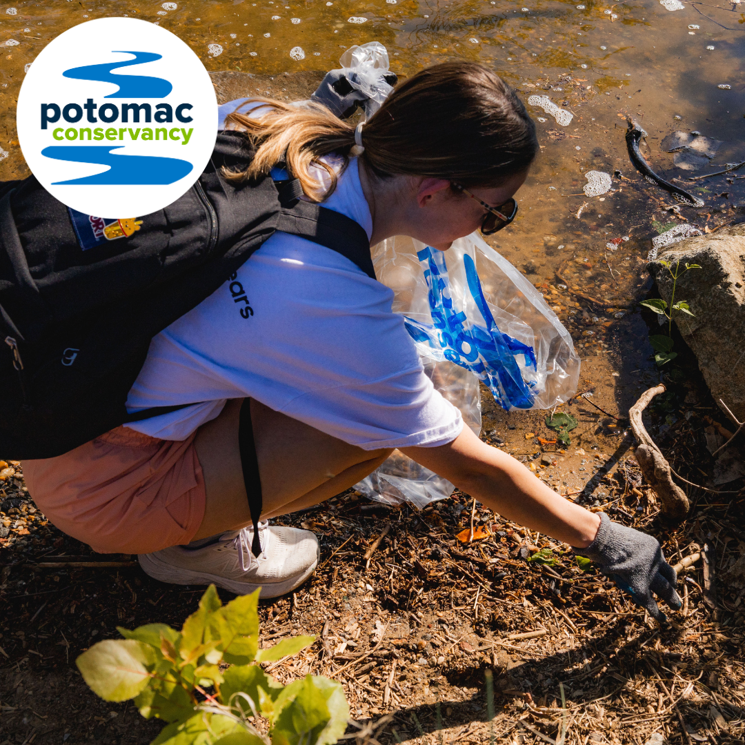 Potomac River Cleanup at Green Meadows Park, MD