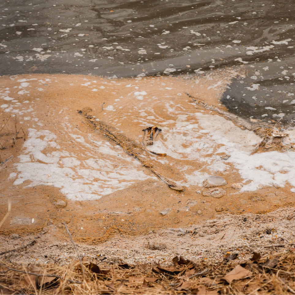 Speak up: Tell DC Water to clean up its sewage mess with stronger restoration plans