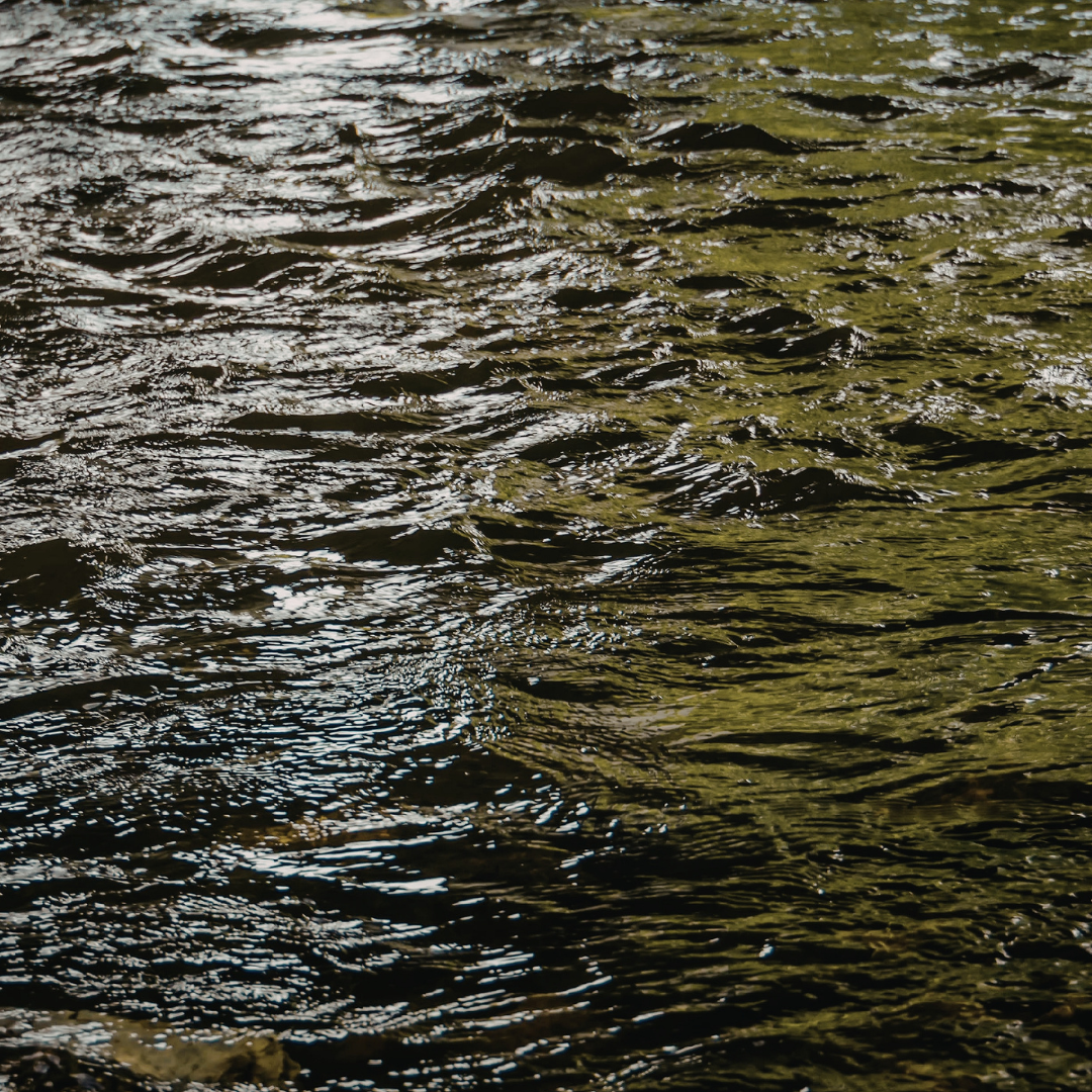 US Military jet fuel spill renews concerns about the region’s water safety