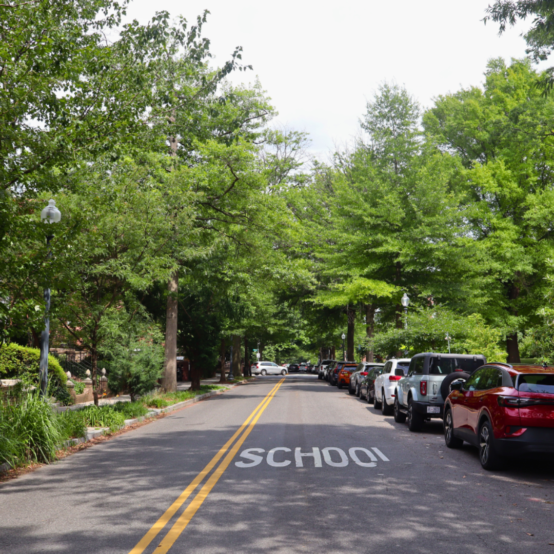 Need more shade? Here’s how tree equity is paramount in the face of the climate crisis and rising temps 