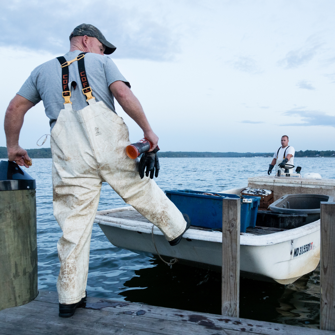 Potomac River fishing 101: Where to fish, what you’ll catch, and tips for your next adventure!  