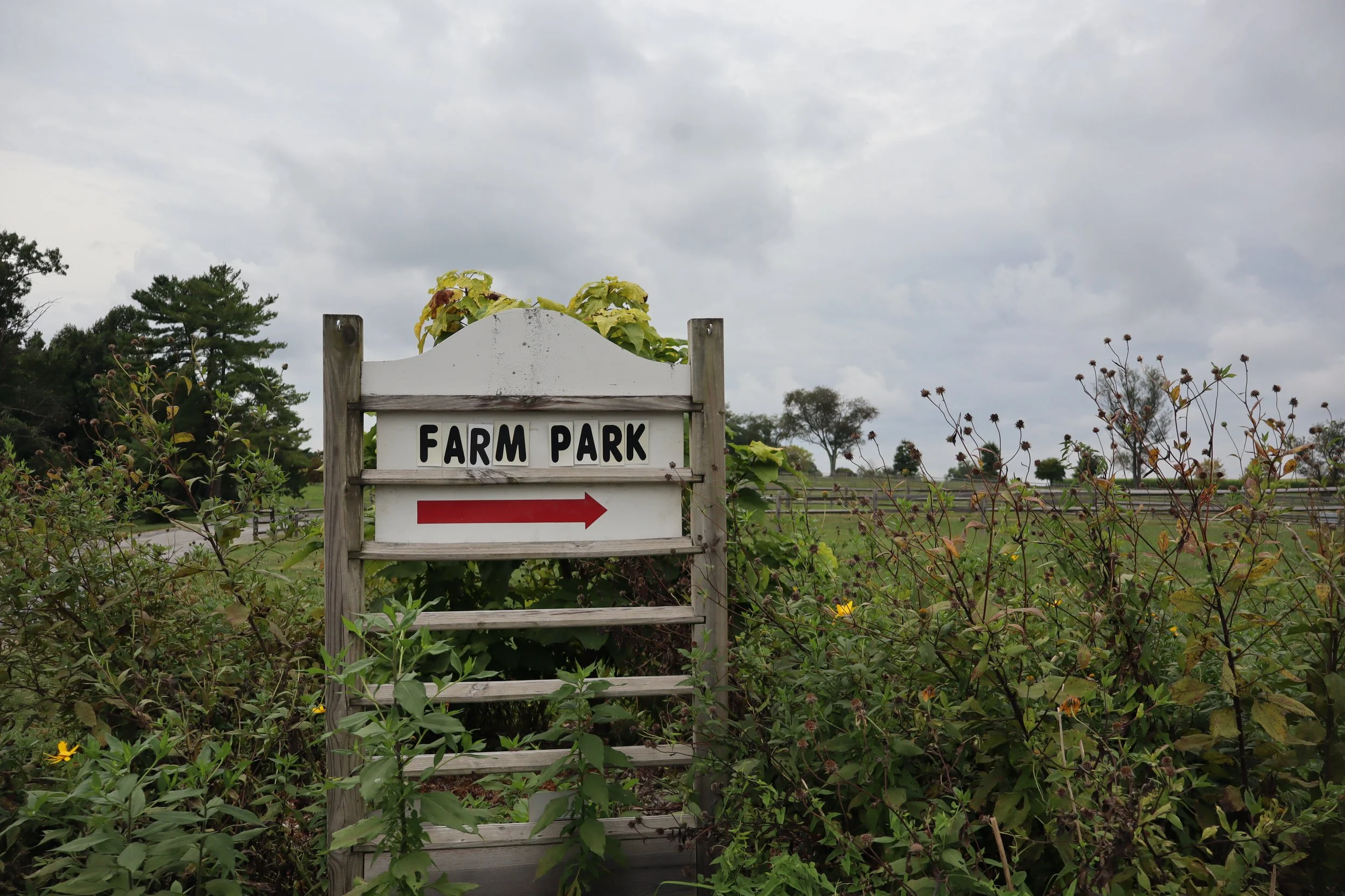 farm park sign.JPG