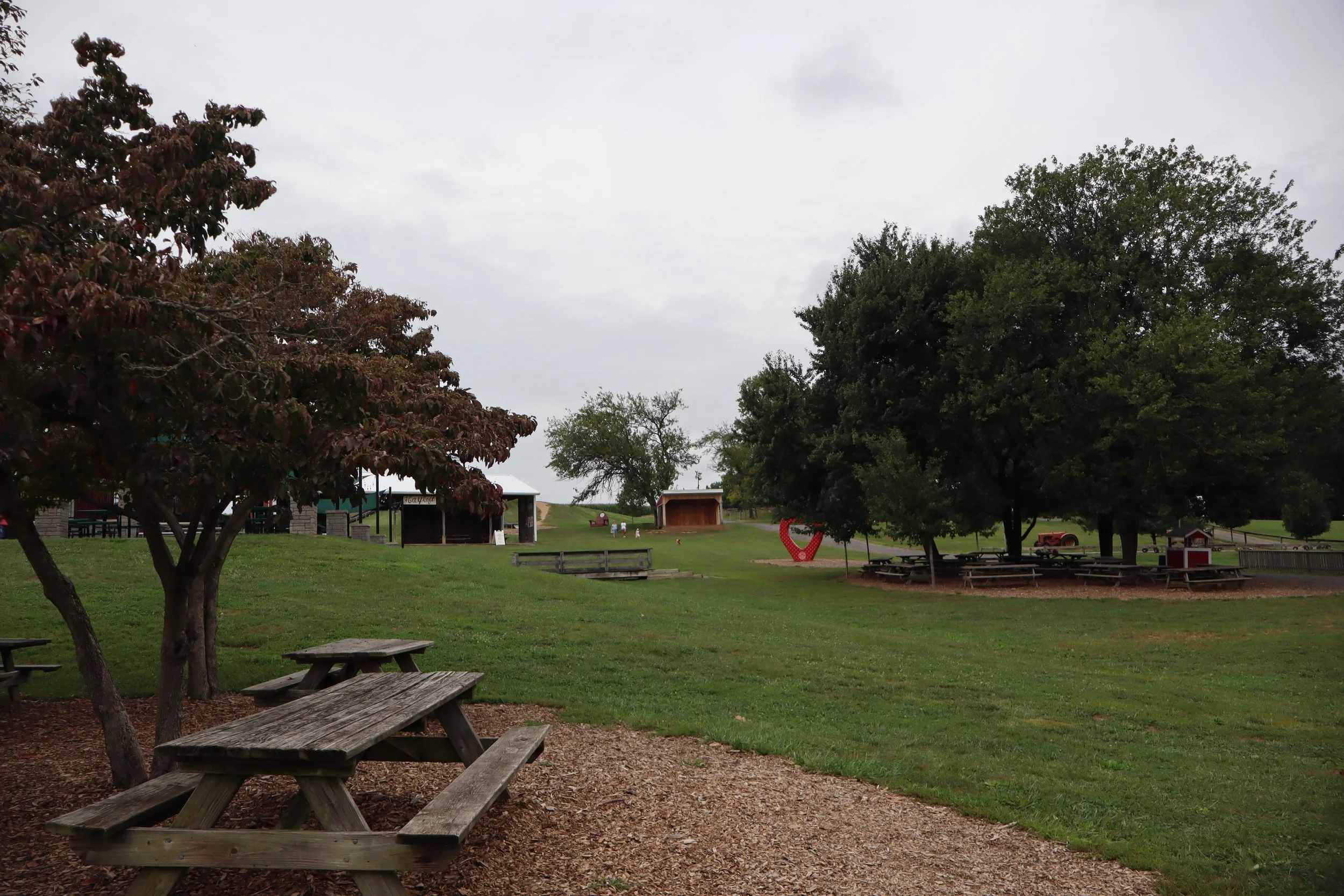 outdoor lawn space.JPG