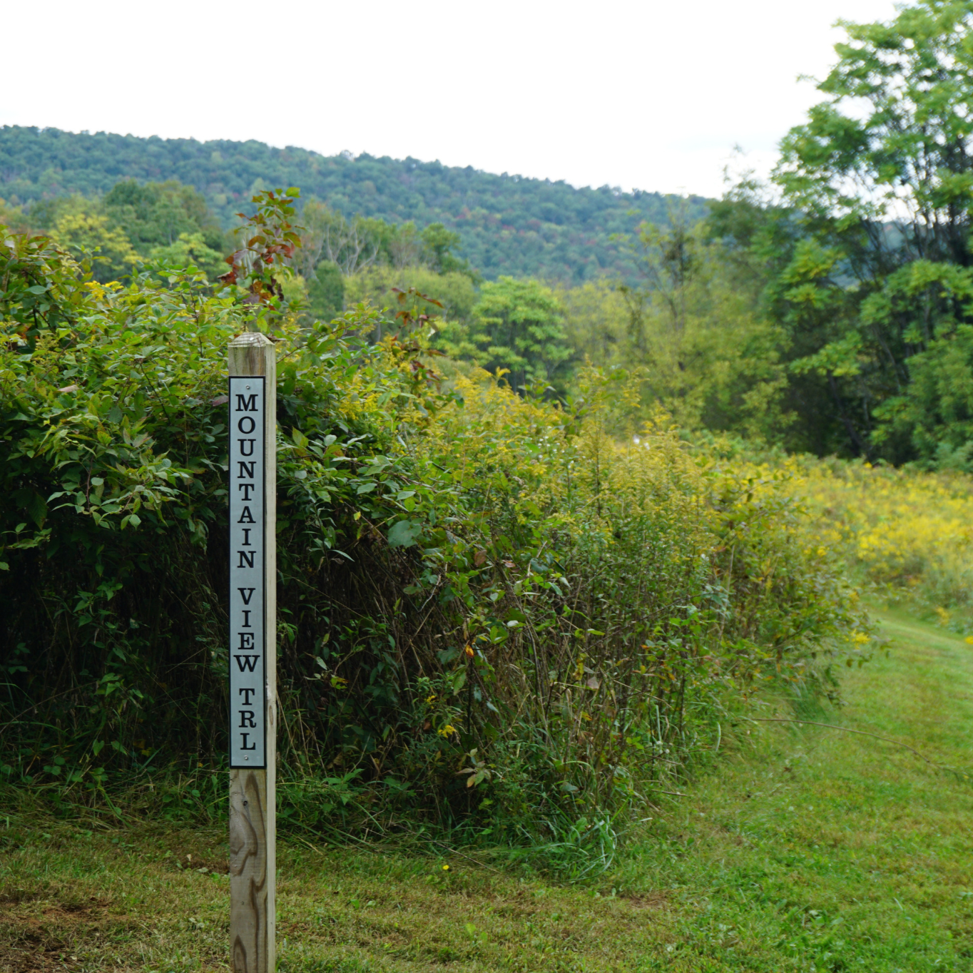 Discover Sweet Run State Park this fall season, and how we’ve been helping it thrive 