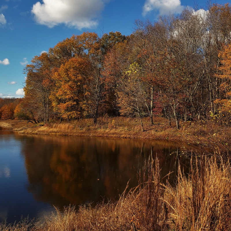 A deadly secret hidden in the hills of the Potomac River Region