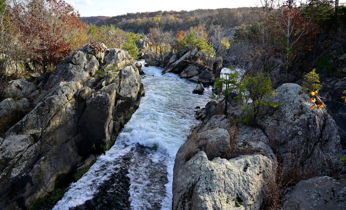 Local naturalist and author shares 5 reasons why the Potomac Gorge is a  must for nature lovers — Potomac Conservancy