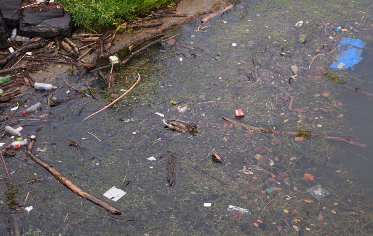 Microplastics are not a small issue when it comes to the Potomac River ...