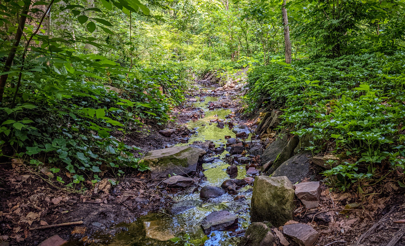 Get your hiking boots on and explore 7 local trails in the Potomac ...