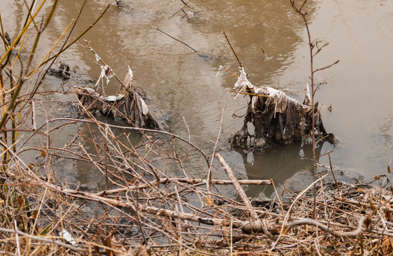 Sewage in the Potomac River
