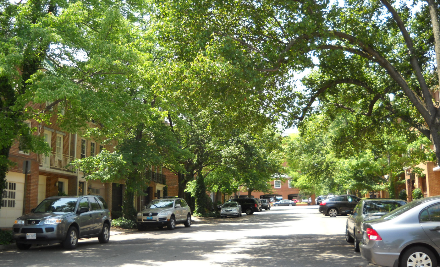 7 benefits of urban trees for communities, clean water, and more ...