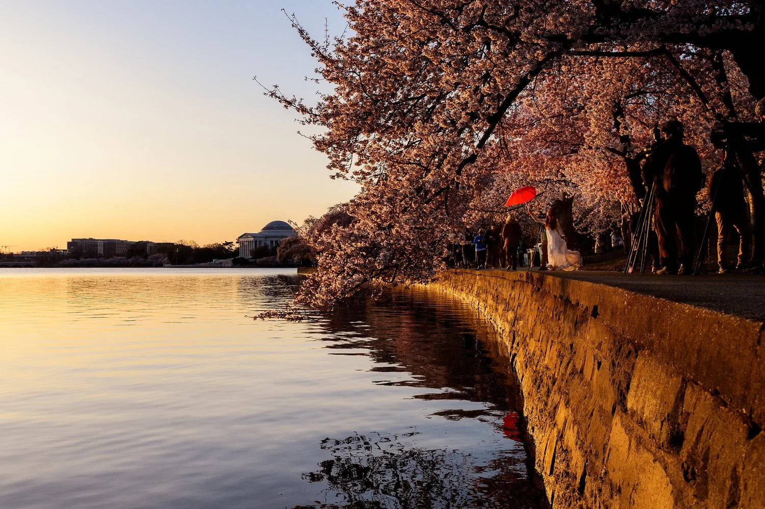As the climate crisis raises the Potomac River, Tidal Basin seawalls
