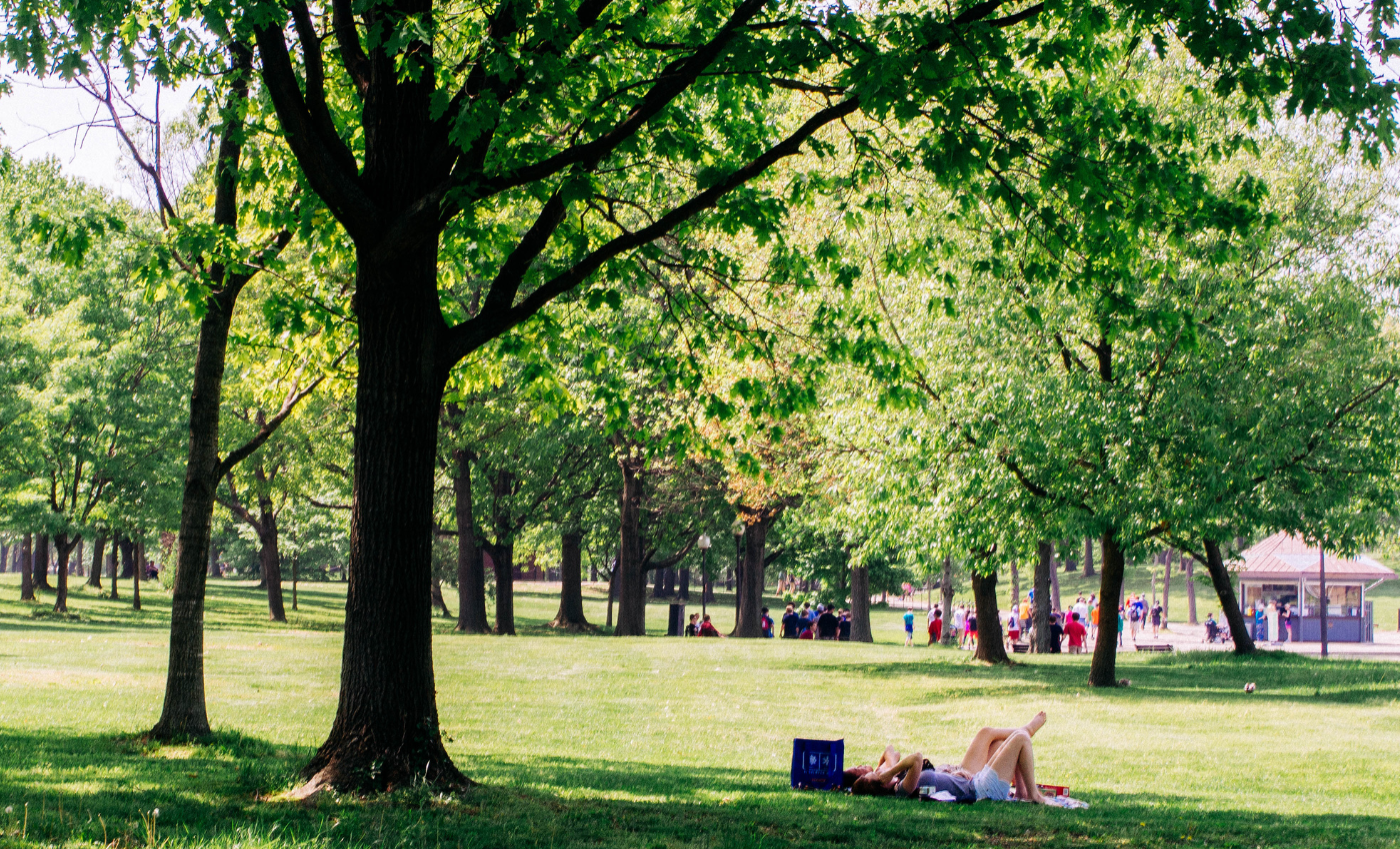 7 benefits of urban trees for communities, clean water, and more ...