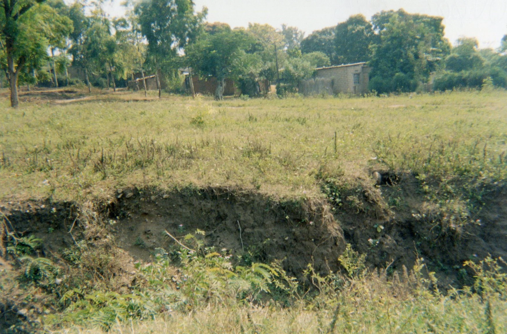This photo shows the place where my daughter hid after being tortured, and it is there that she was recruited. 