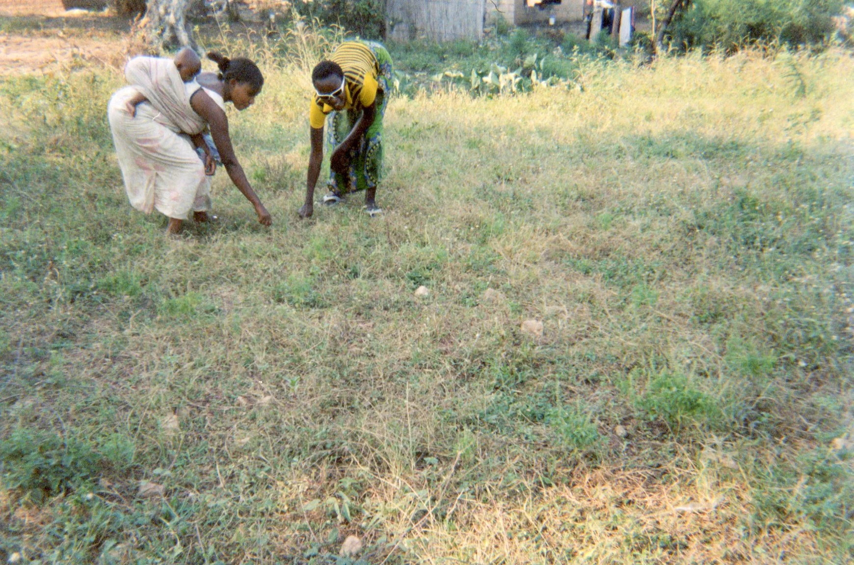 This picture shows the community field that was given to the ex-combatants as part of their economic reinsertion kit when they left the armed group. This field was meant to help them occupy themselves with hard work and forget about their lives with the militia. 