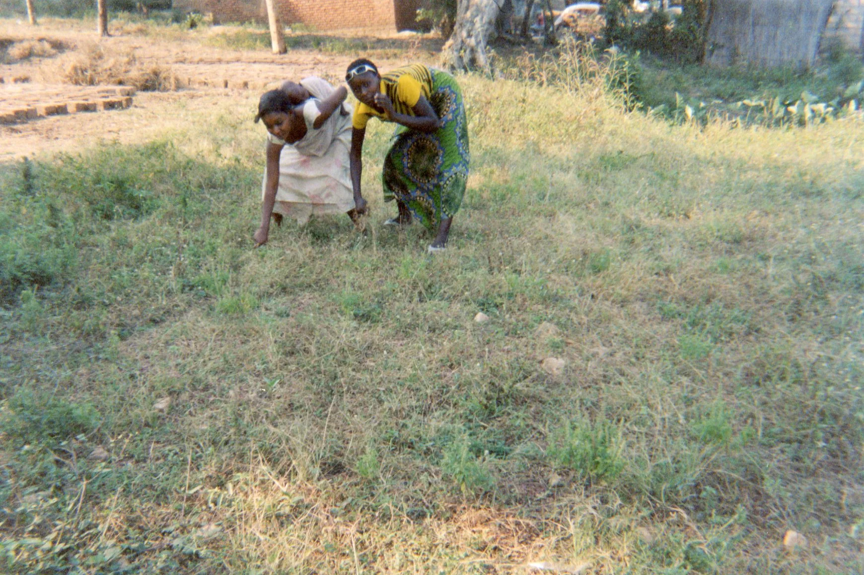 This picture shows the community field that was given to the ex-combatants as part of their economic reinsertion kit when they left the armed group. This field was meant to help them occupy themselves with hard work and forget about their lives with the militia. 