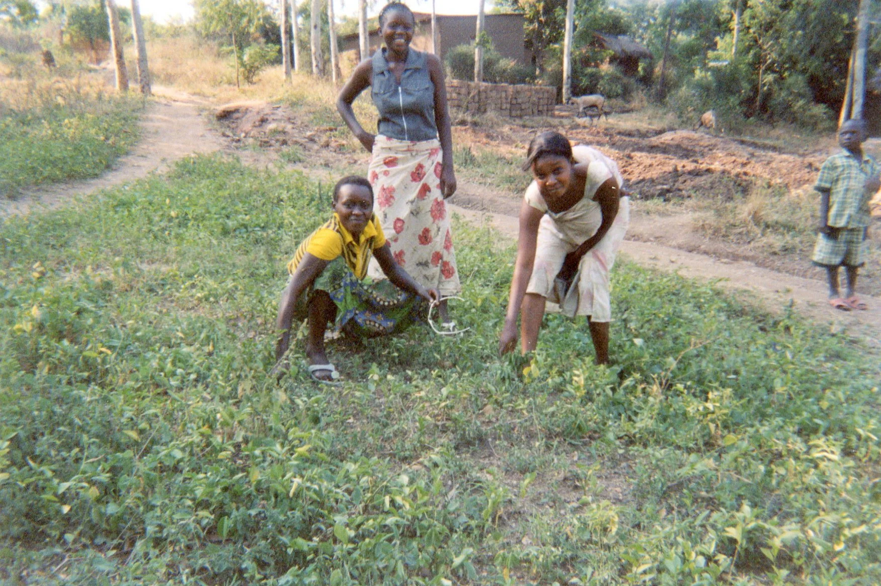 These photos show the ex-combatants in the field and the boys who were reintegrated before are showing the girls how to cultivate crops.