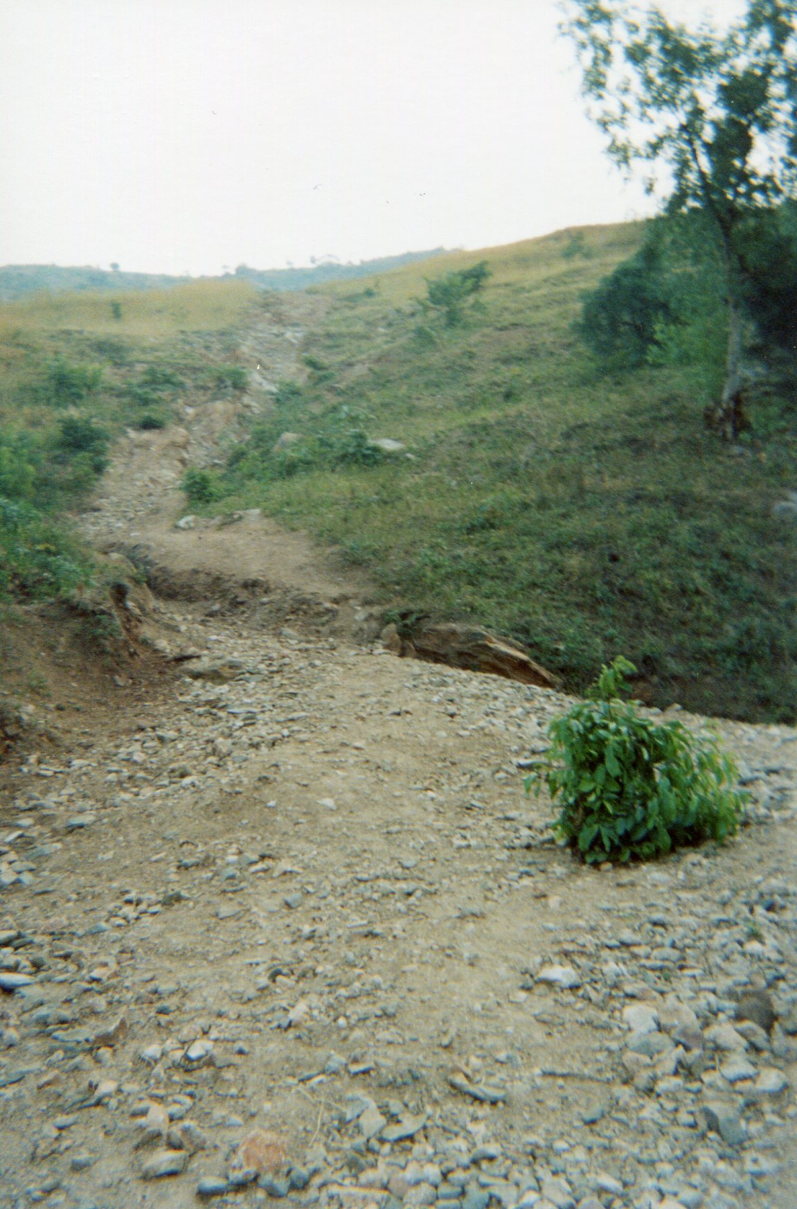  This shows the road where the children passed before joining the camp for the armed groups.&nbsp; 