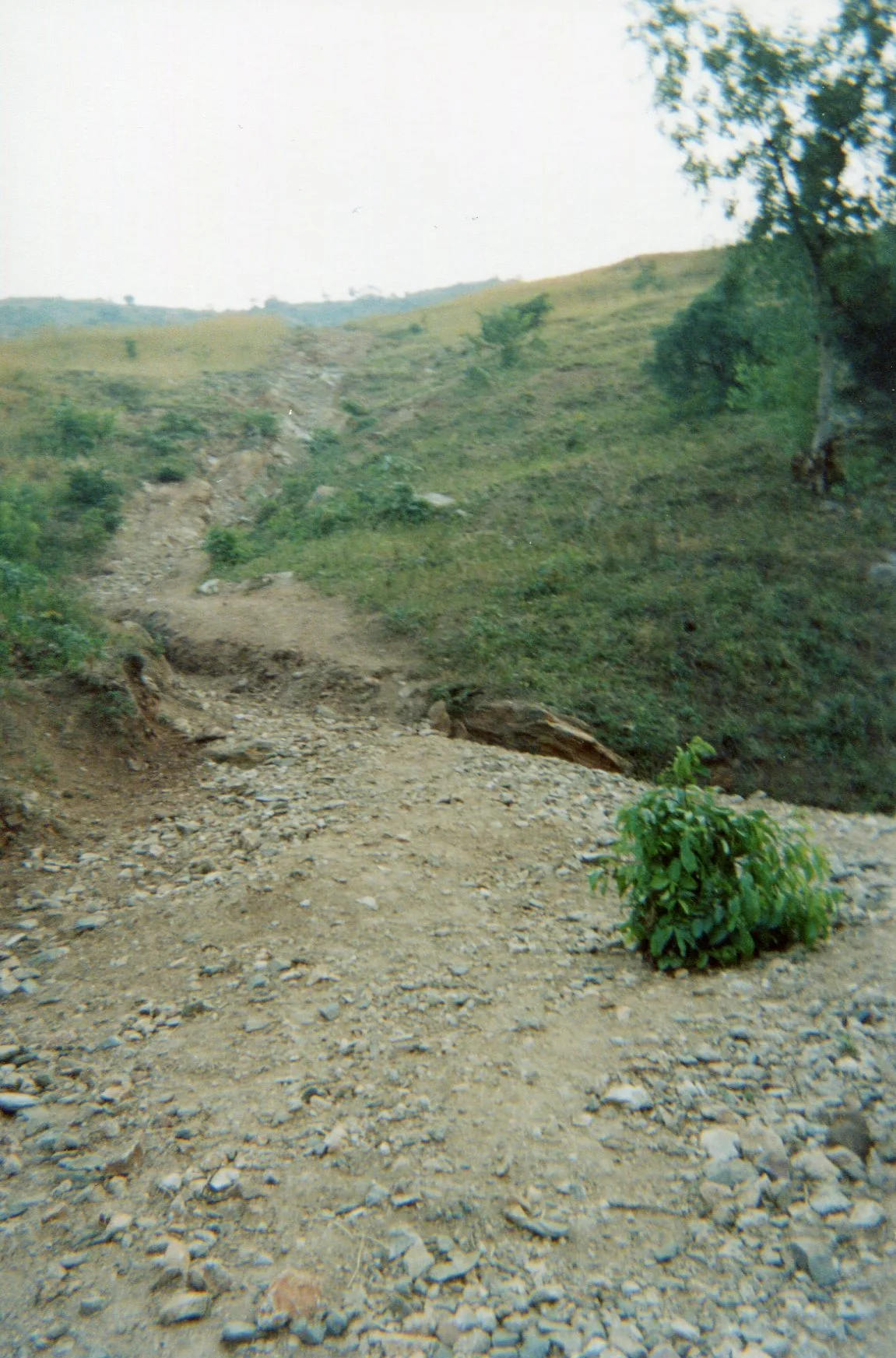 This shows the road where the children passed before joining the camp for the armed groups. 