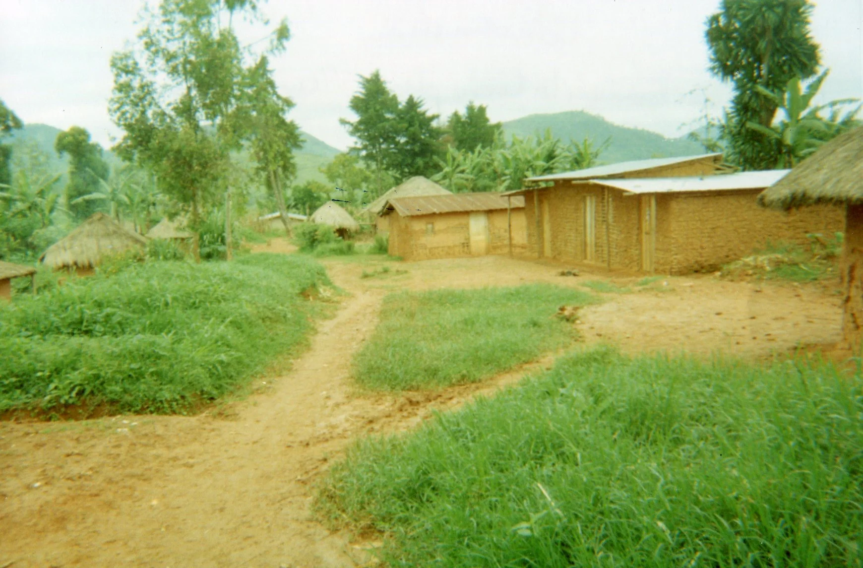 Reconstruction: People are trying to rehabilitate the village. 