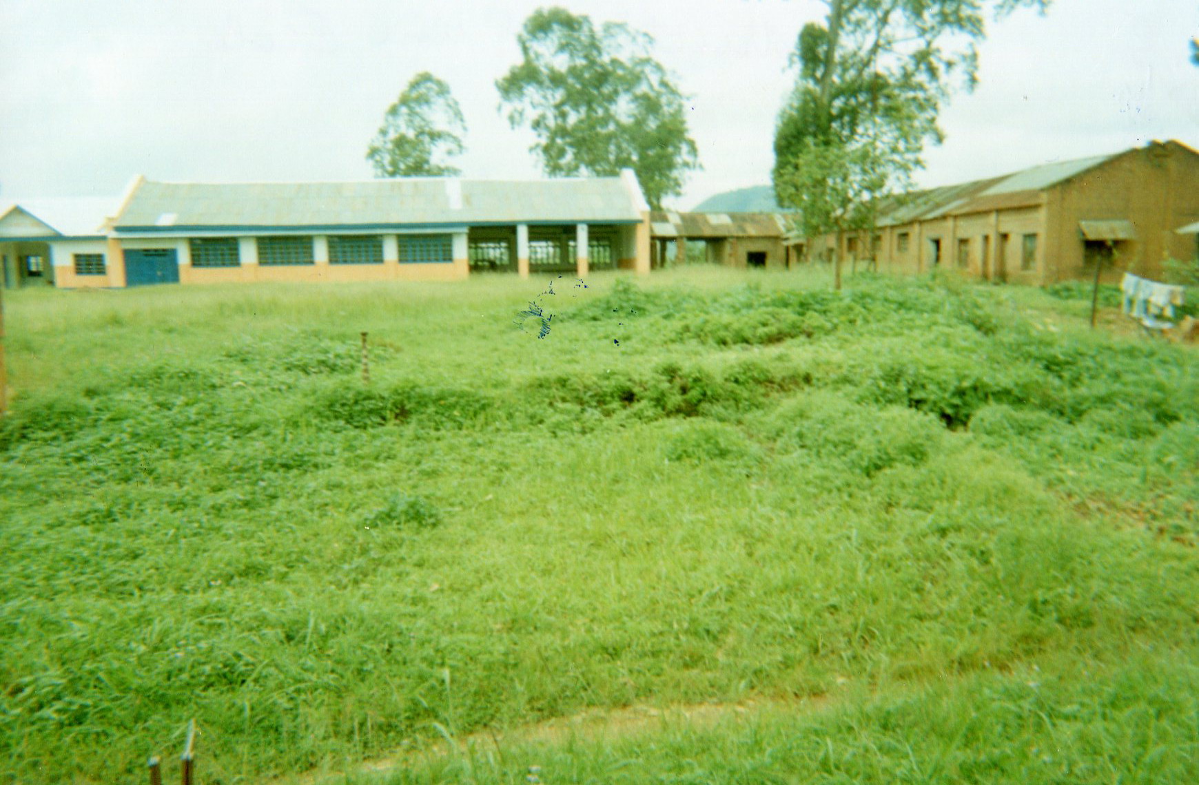  School reconstruction under the initiative of the people.&nbsp; 