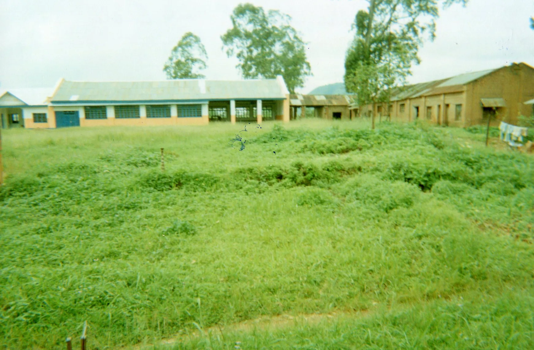 School reconstruction under the initiative of the people. 