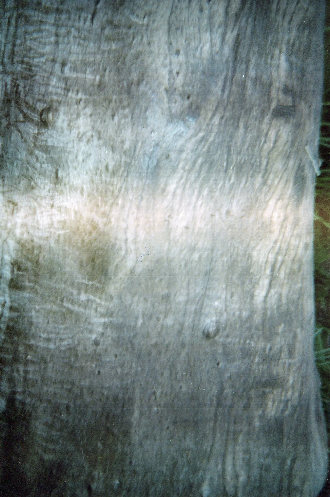 This wood reminds me of three essential things: the place of refuge when we were combatants, the construction material of houses and of preparing food. 