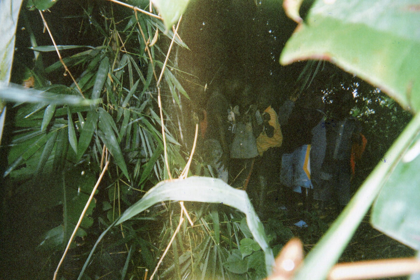  These children hide themselves in the bush when the militias arrive.&nbsp; 