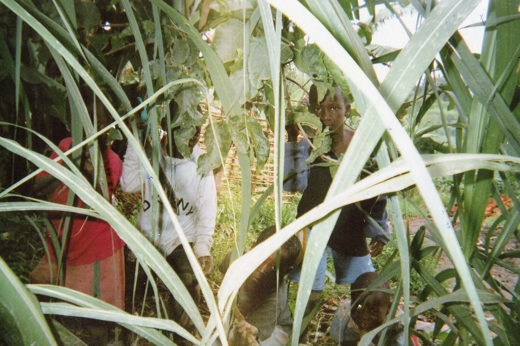 These child soldiers lie in ambush before pillaging, raping, and robbing peaceful citizens in a village. 