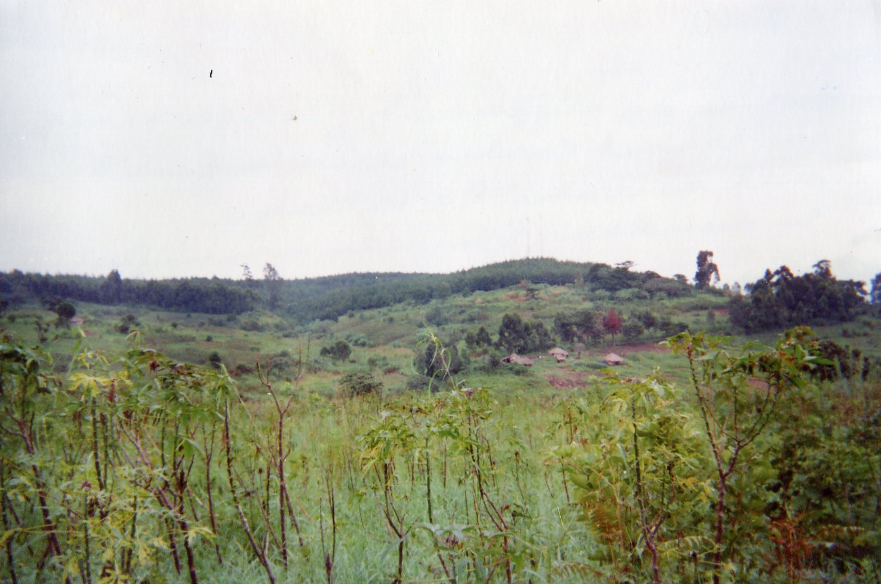  This landscape recalls the entry of armed groups who hid themselves in this forest before attacking the village. 