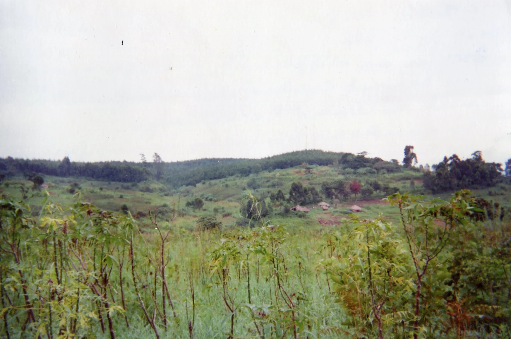 This landscape recalls the entry of armed groups who hid themselves in this forest before attacking the village.