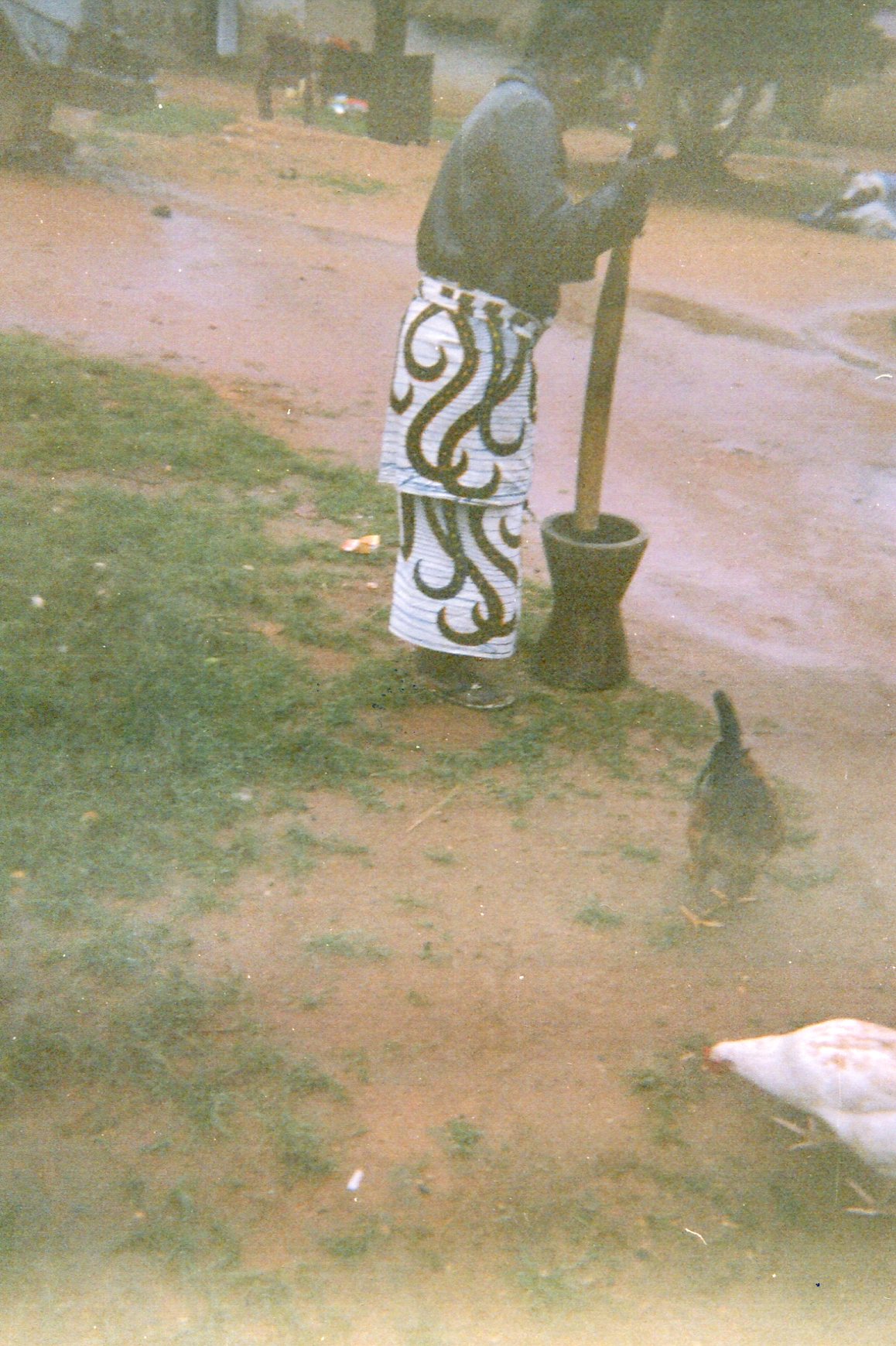  These chickens represent a blessing for this family, seen by the militias, who did not see people and instead took the chickens.   