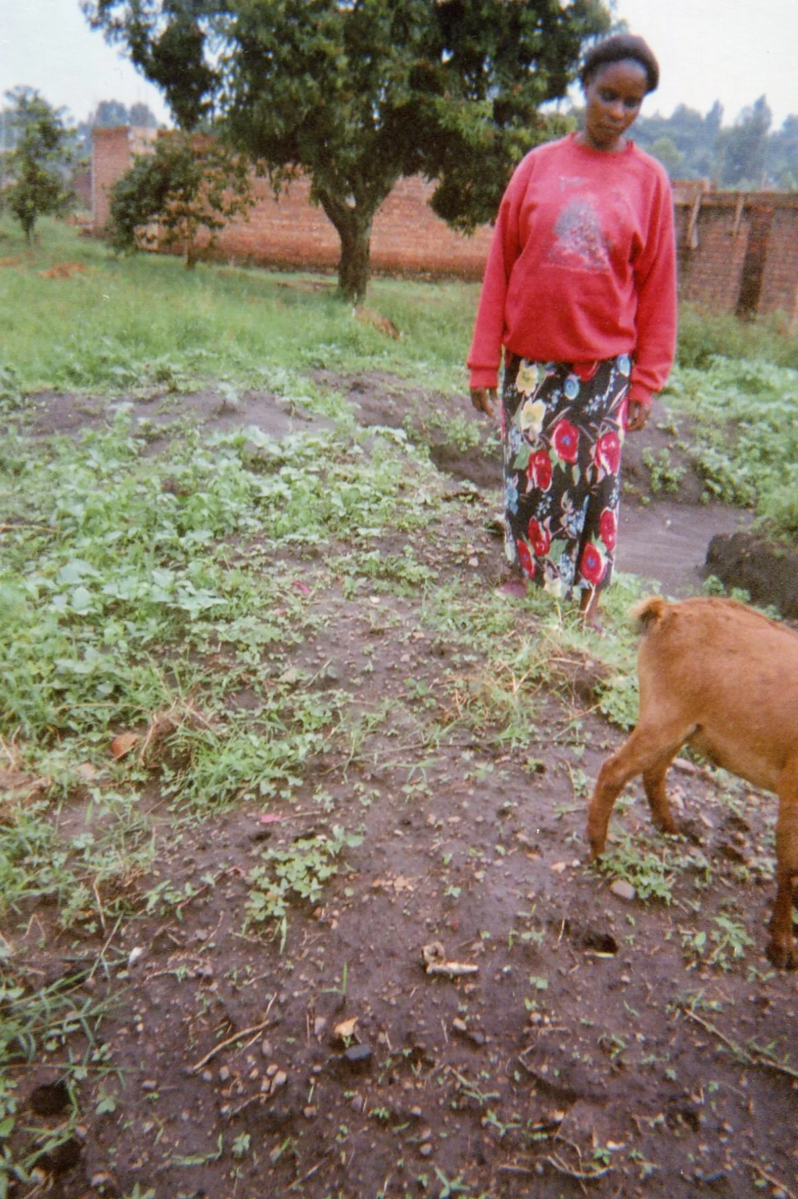 Despite the participation of the child in the armed group, the mother has hope that life continues. 
