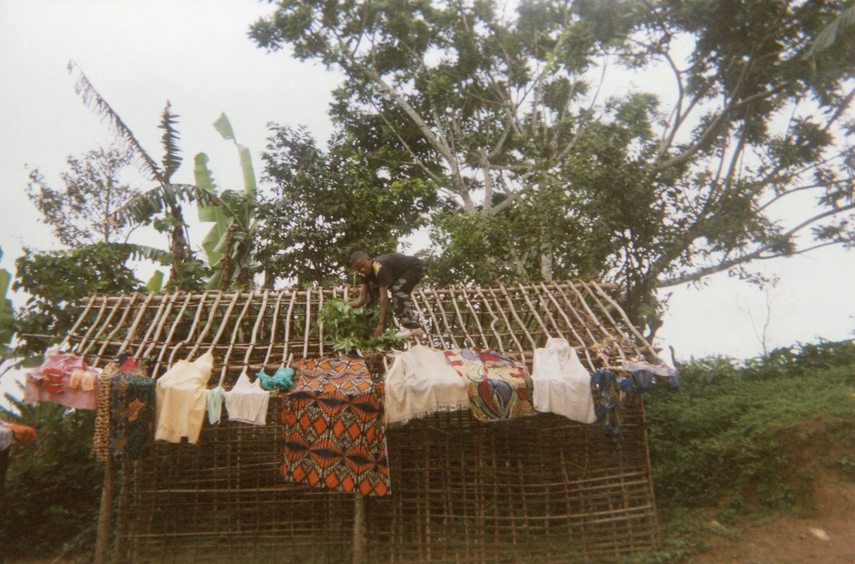 When I was building, they put grass on top of the roof. 