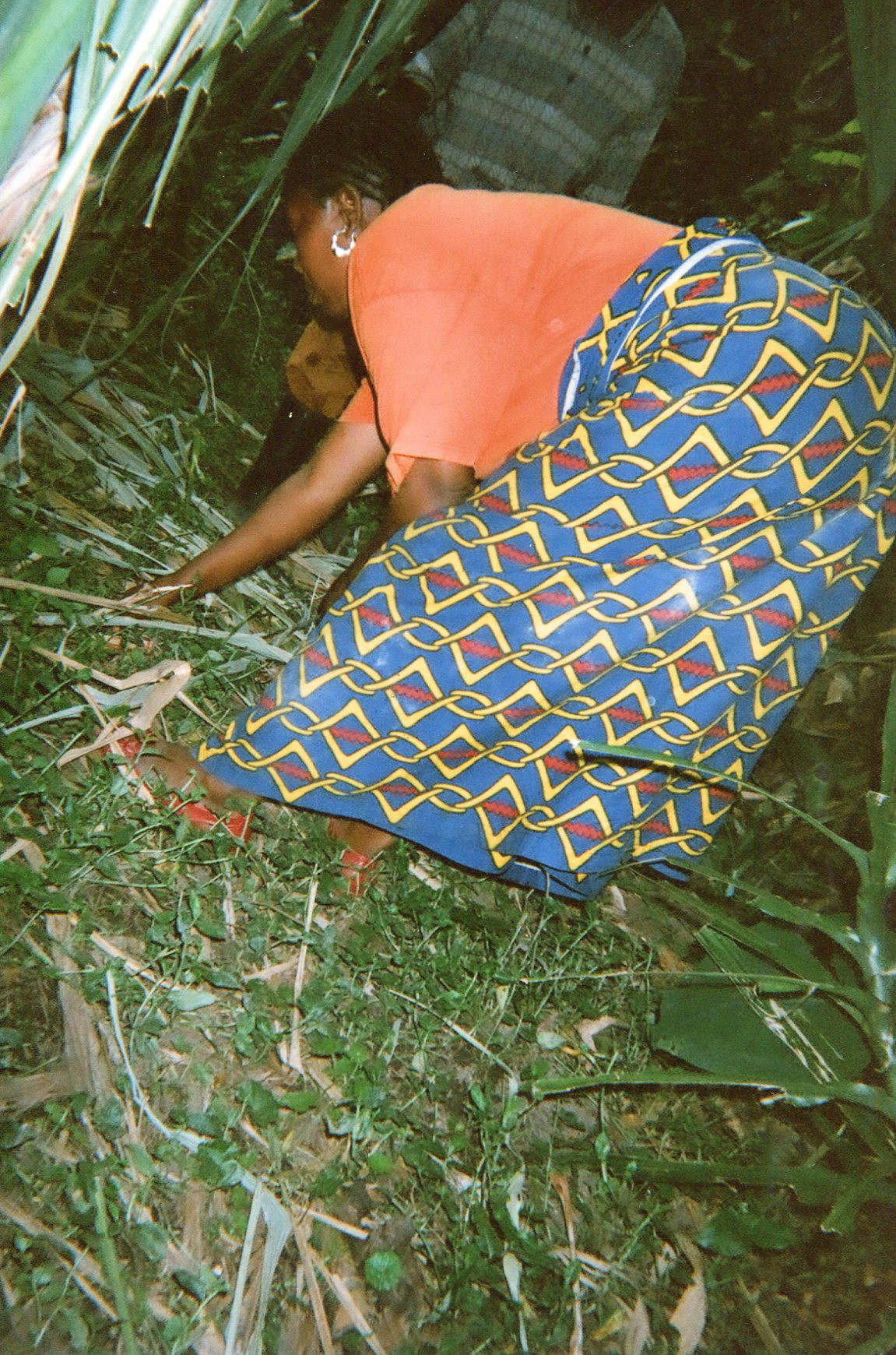  Here I am weeding the beans and they found me in my field and they wanted me to go with them.&nbsp; 