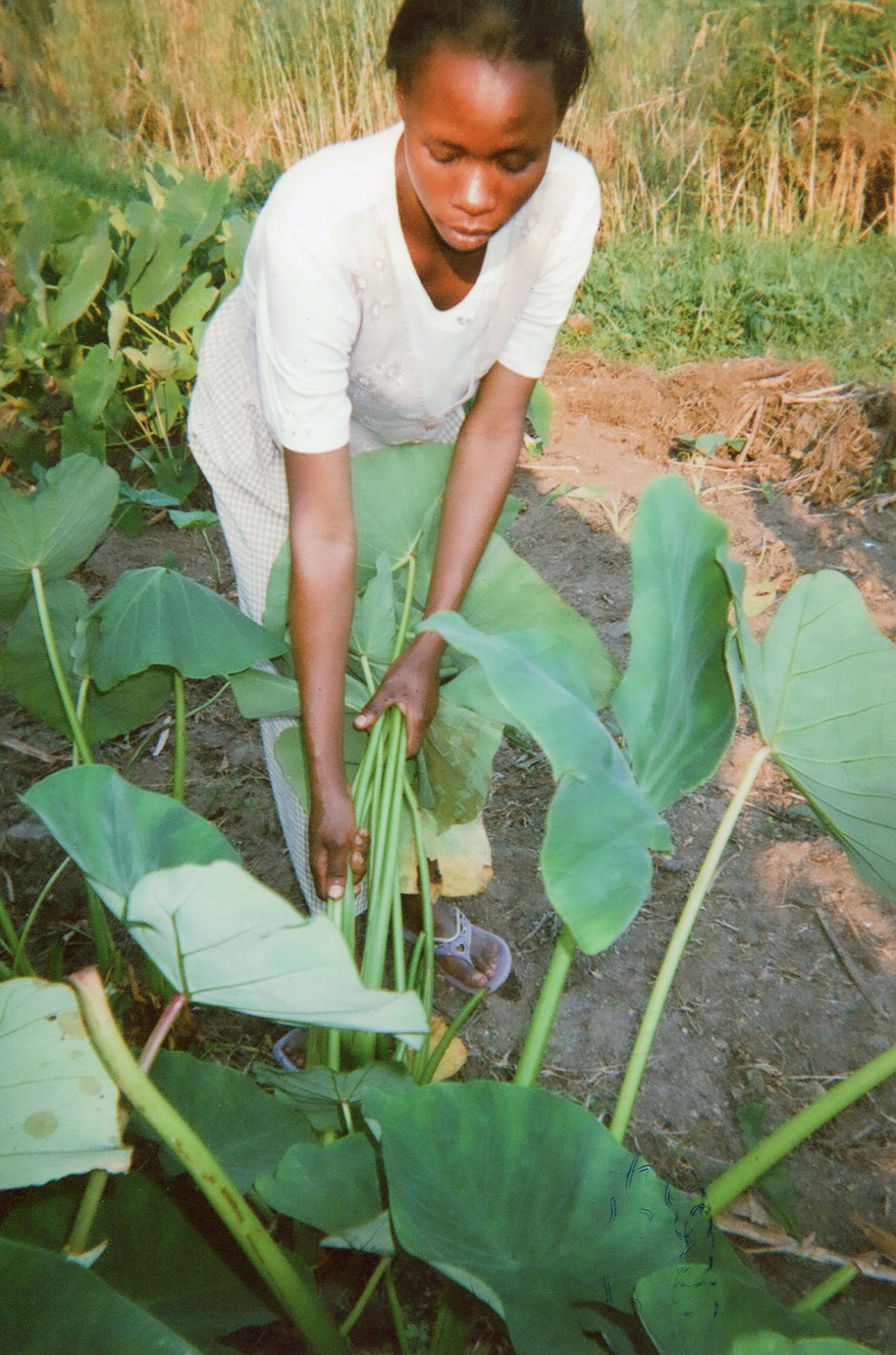  One day they sent me to get food from the field. Arriving in the field, I was never to do so because I was very hungry.&nbsp; 