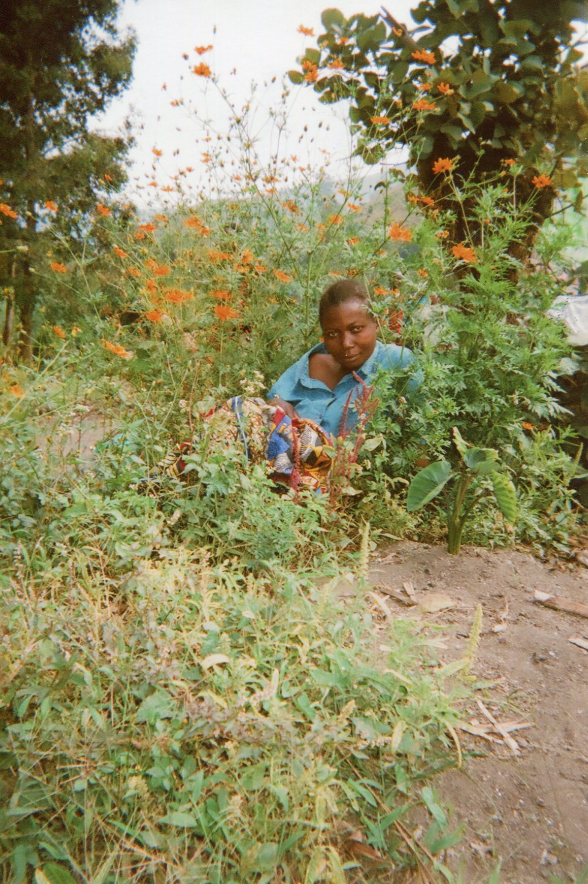  I am in amongst the foliage and I am staying there.&nbsp; 