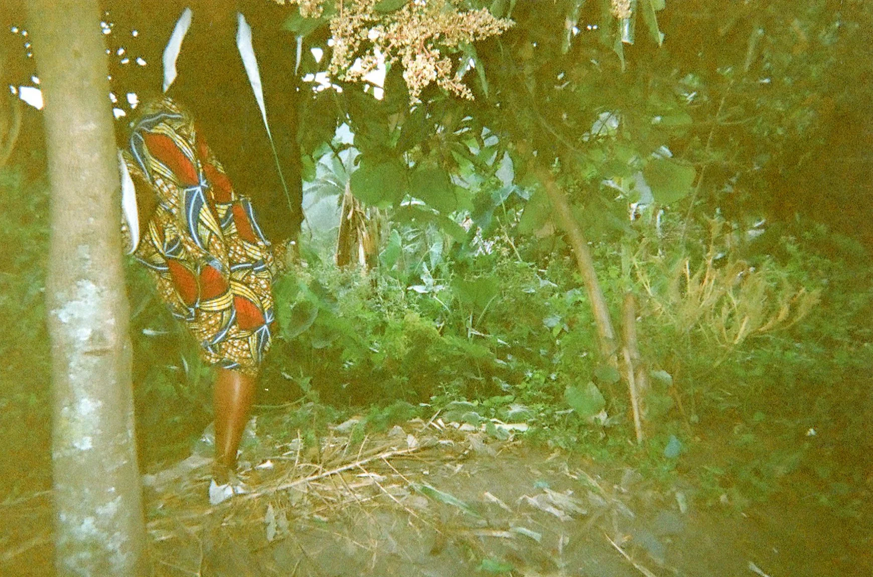 I am climbing in the forest. 