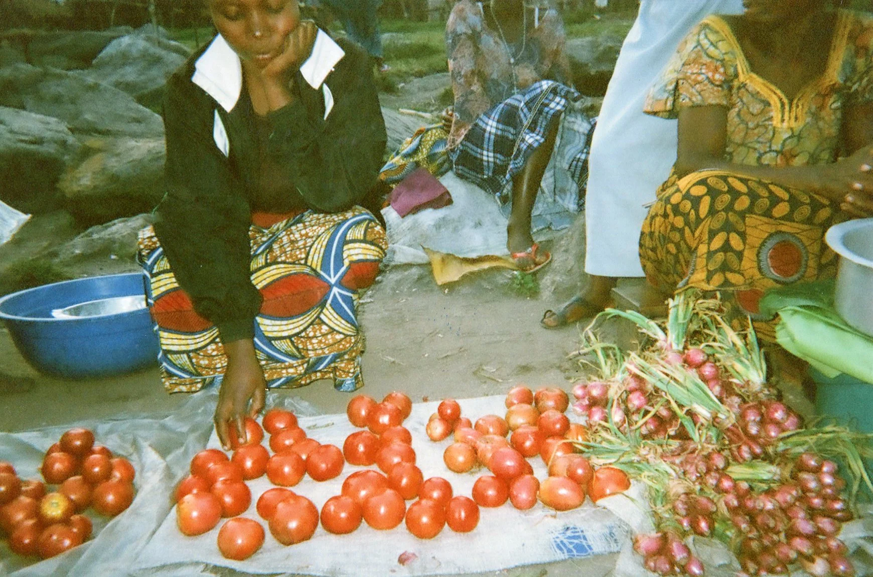 Here I am out of the forest and I am selling tomatoes. 