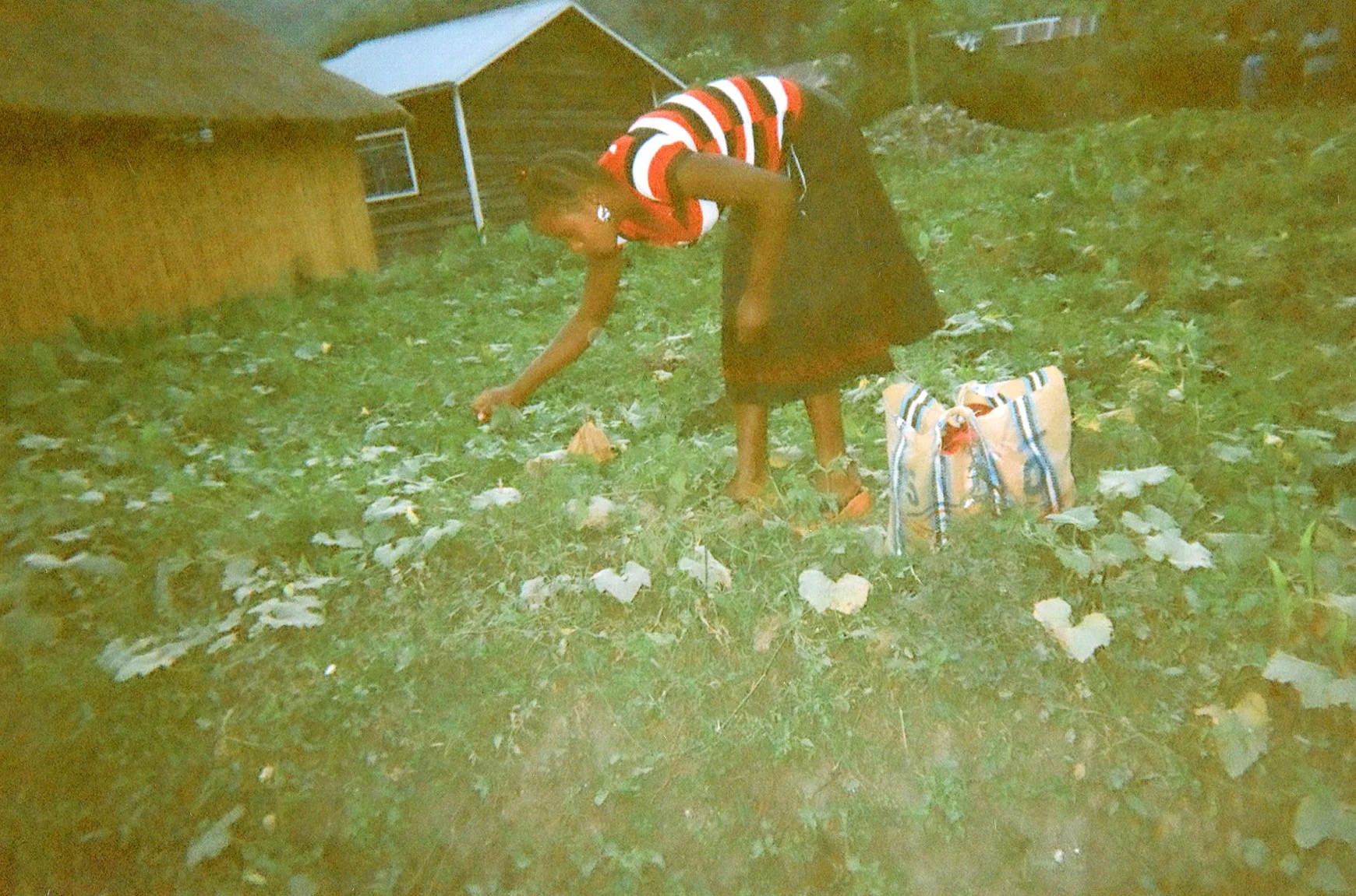 We arrived in the forest and I began to cut harvest leaves and vegetables and they told us that was the work that we would be doing. 