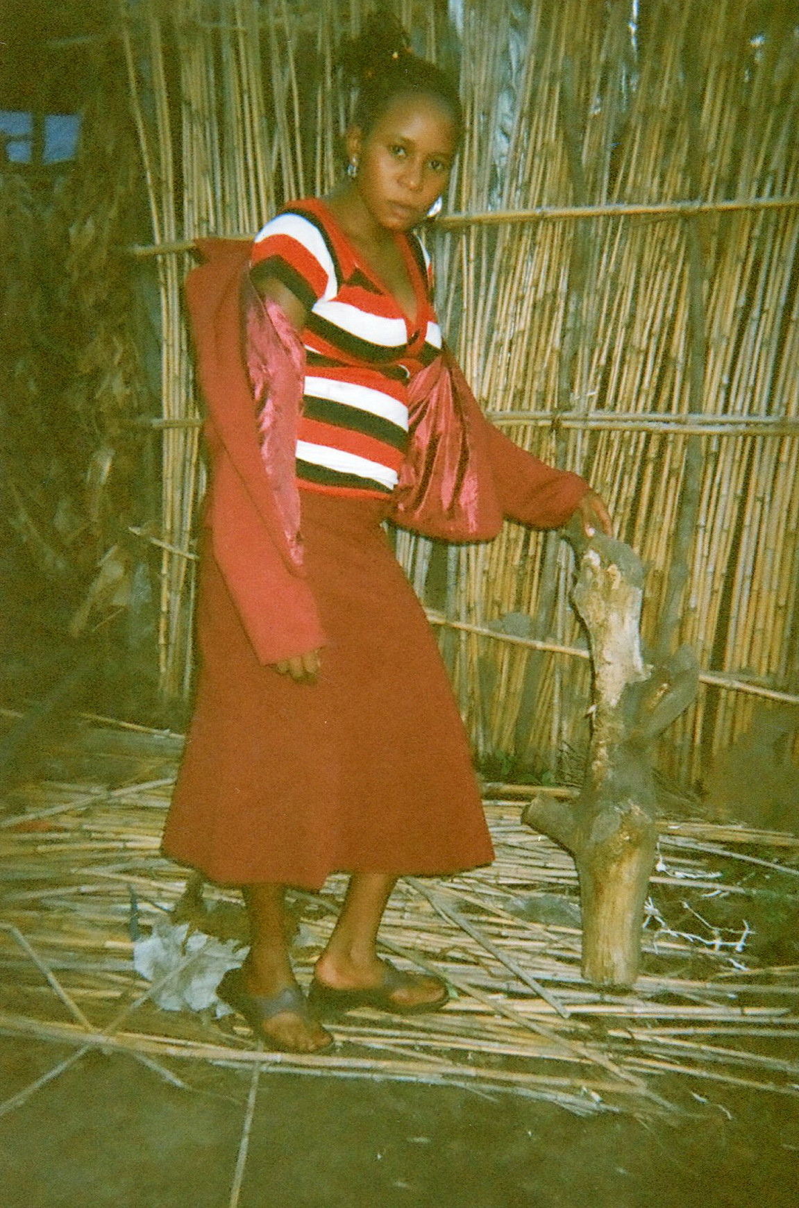  Here I am collecting firewood and tying it together.&nbsp; 