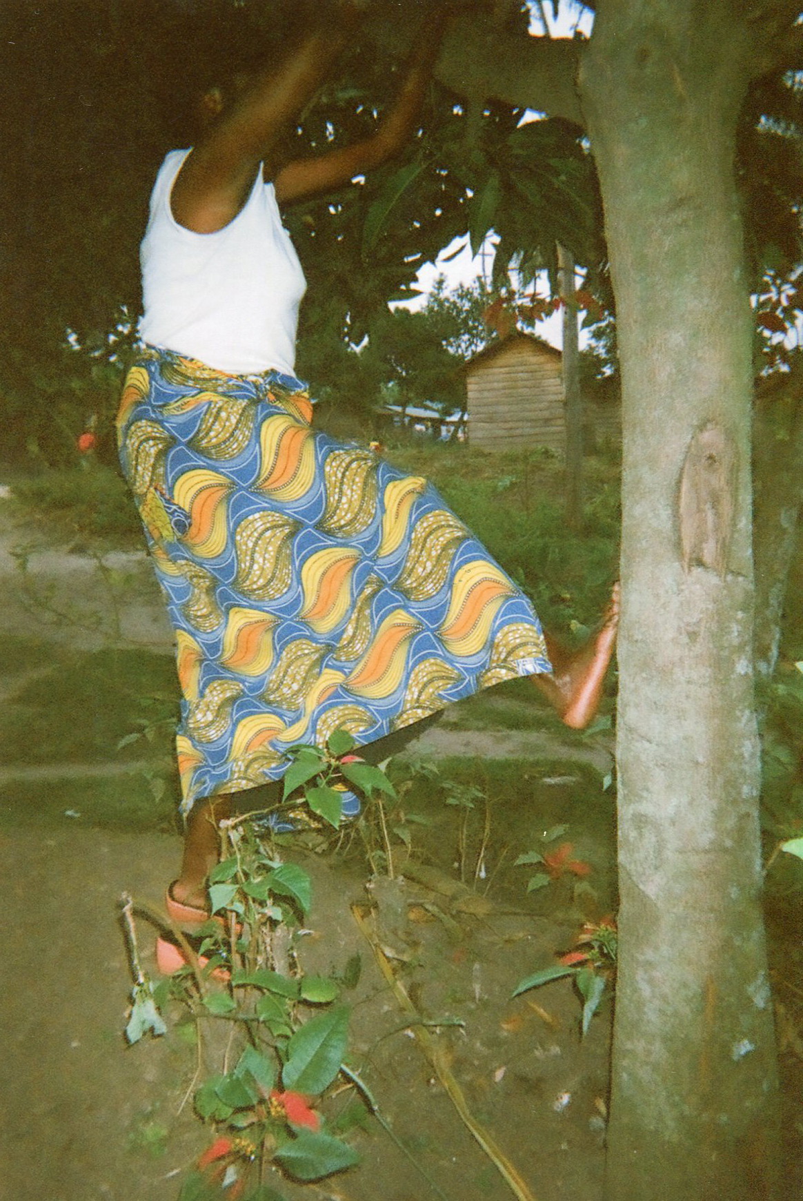  I jumped on a tree to cut mangoes because I was very hungry. When they saw me I was beaten to death.&nbsp; 