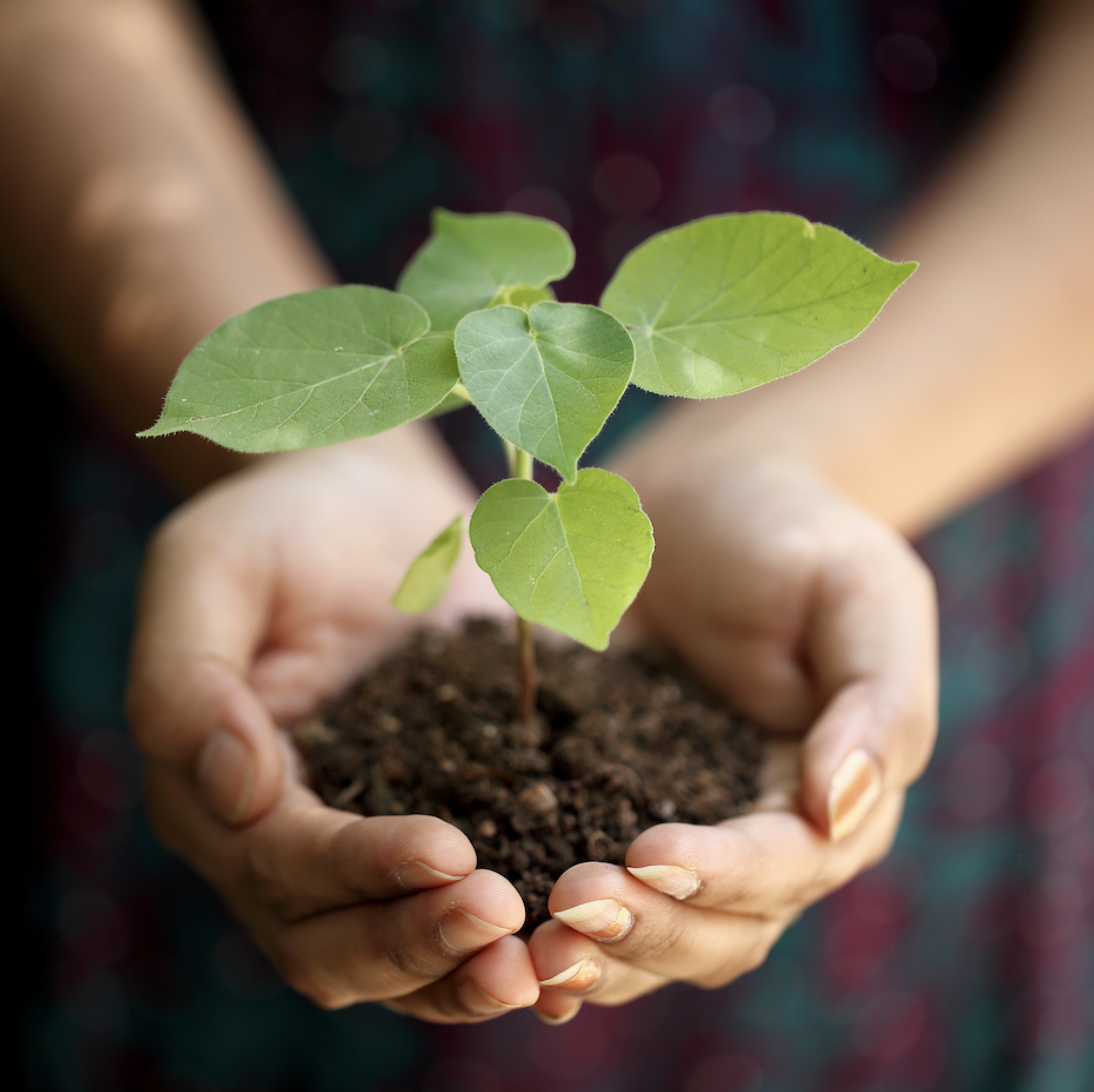 Screen Shot 2022-02-03 at 3.45.53 PM.png