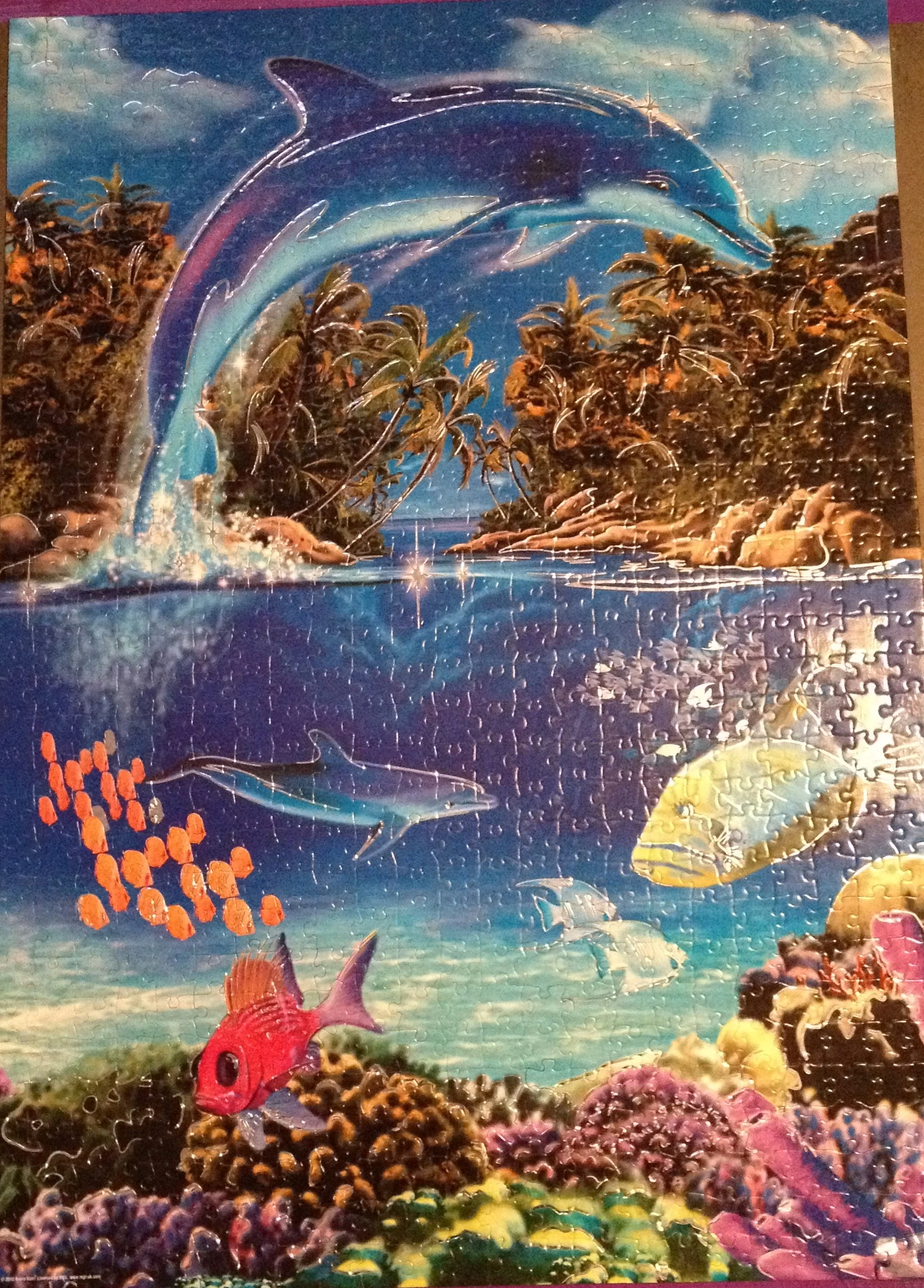 1000 Pieces