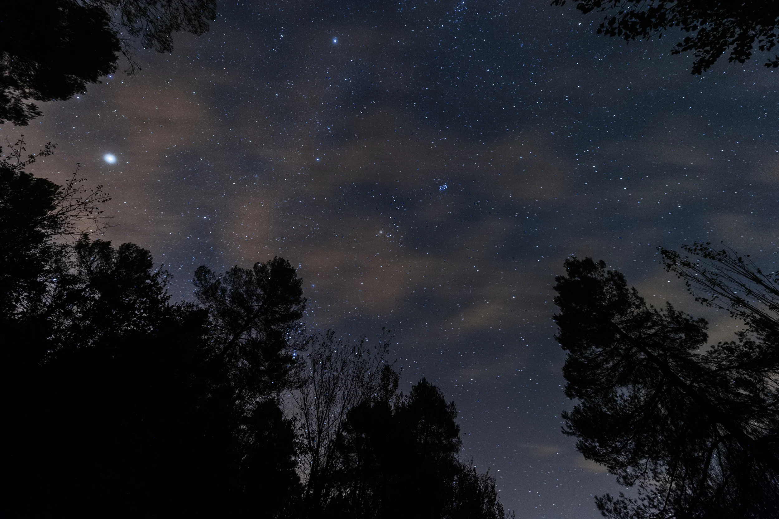 https://www.flickr.com/photos/miquelgp/11527259755/