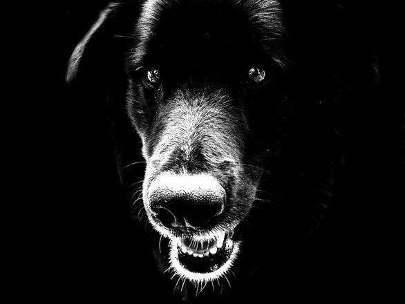 photo source: freeimages