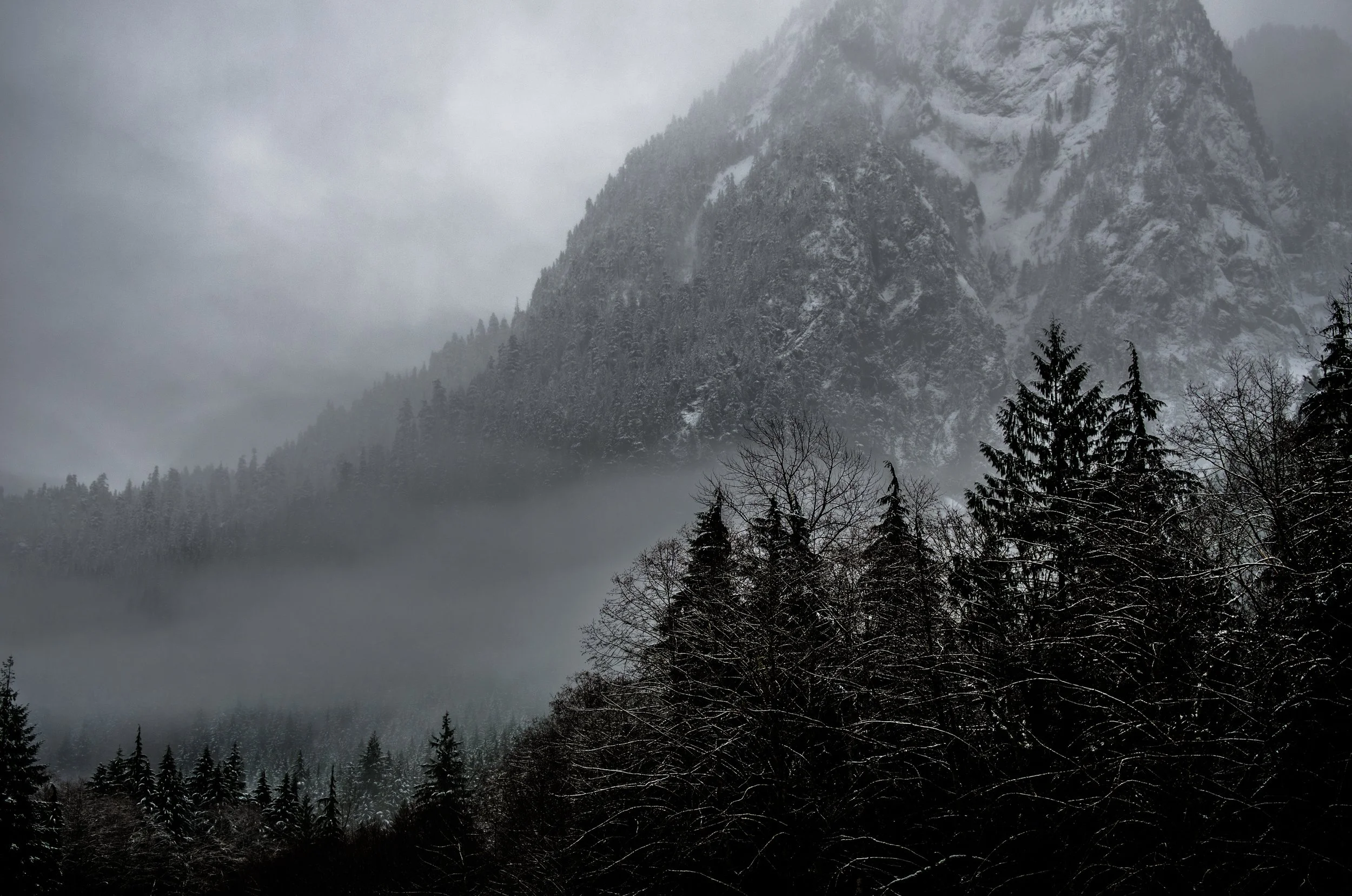 Photo source: unsplash