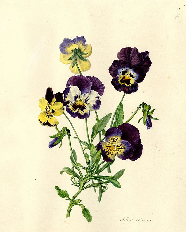 Photo Source: wikimedia