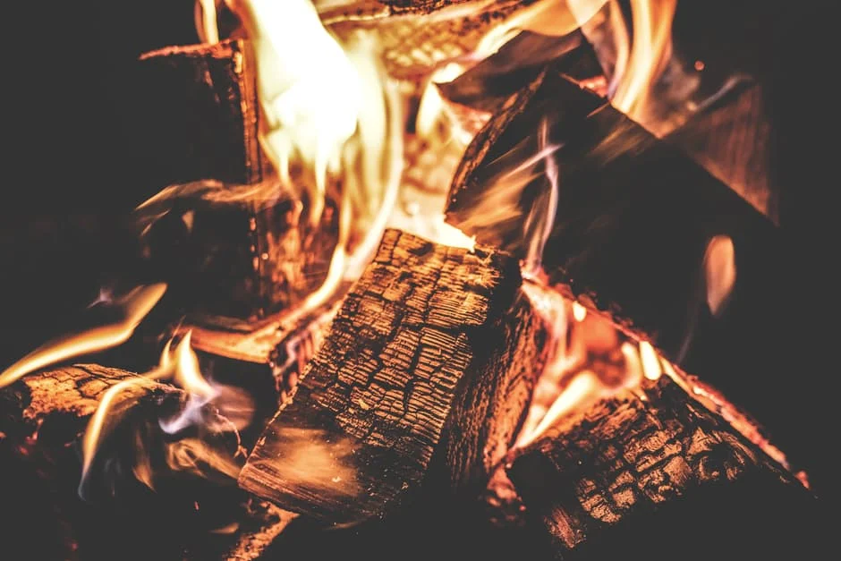 Photo credit: pexels