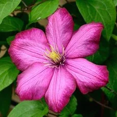 You're at Your Best When You're at Your Worst