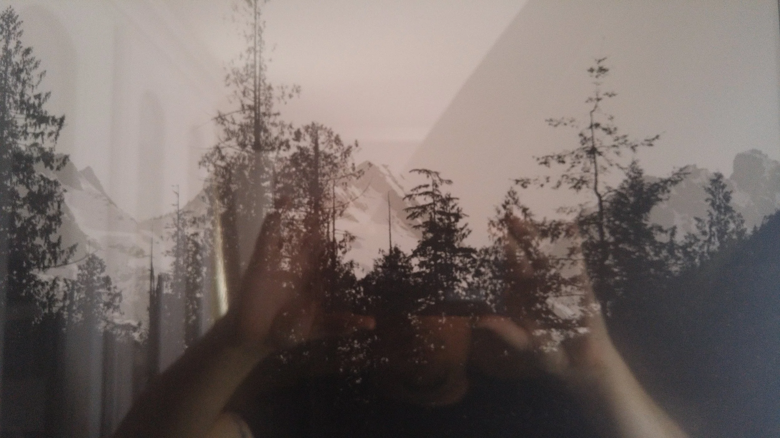 The only remaining proof of that pilgrimage hangs in my dining room as a constant reminder
